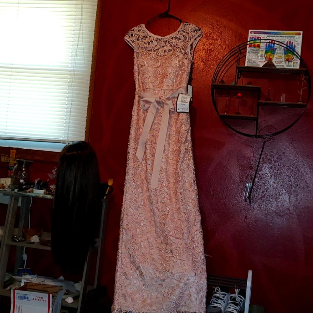 Adrianna Papell Lace Dress Brand New With Tags